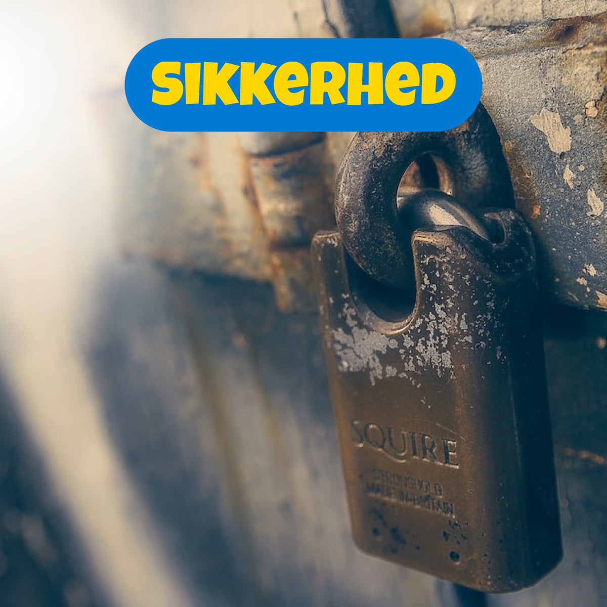Sikkerhed & låse