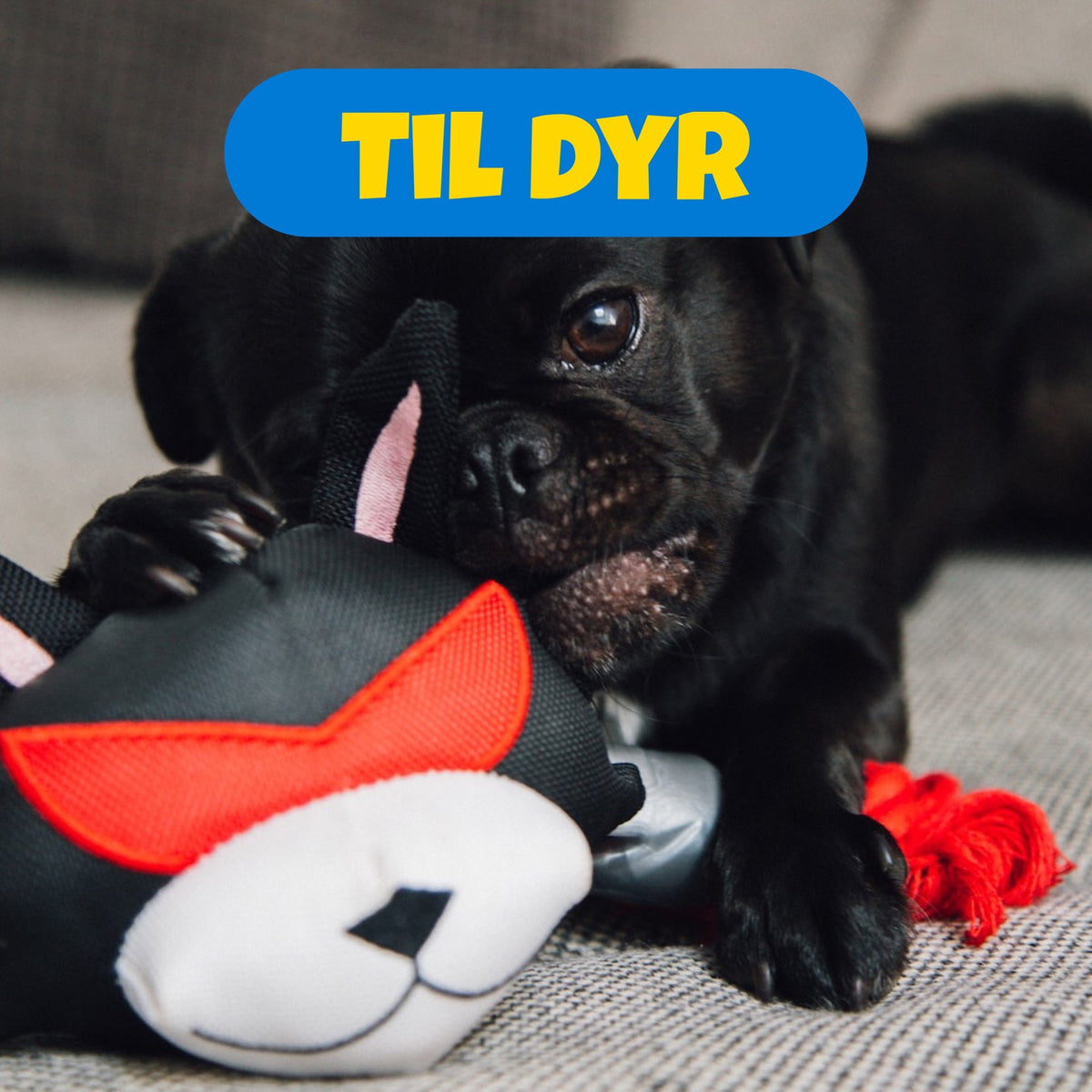 Til Dyr