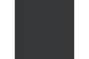 Black glaze 17ml ⎮ 8429551708555 ⎮ VE_422783 