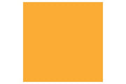 Brush Marker Gold  O555 ⎮ 884955043172 ⎮ VE_832207 