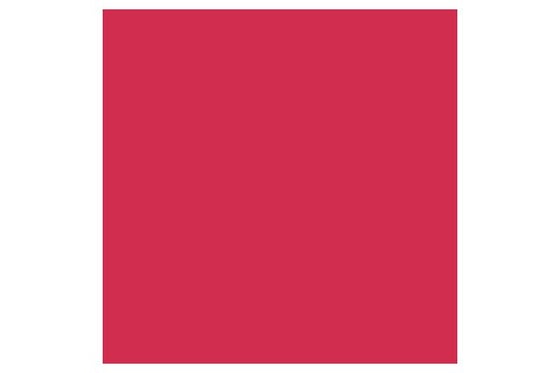 Promarker Ruby  R455 ⎮ 884955042199 ⎮ VE_832110 