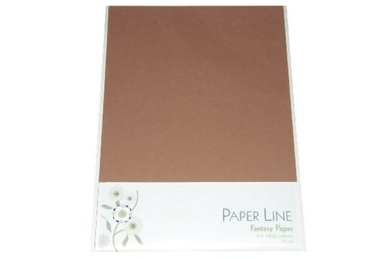 Fantasy karton 180g A4 10stk i pakke lysebrun ⎮ 5700130394400 ⎮ VE_039440 