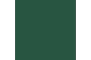 Cayman green 17ml ⎮ 8429551720670 ⎮ VE_422999 
