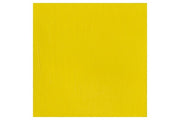 Prof Acrylic 60ml Bismuth Yellow 025 ⎮ 5012572010924 ⎮ VE_831145 