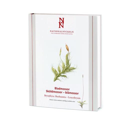 Bladmossor: Sköldmossor - blåmossor: Bryophyta: Buxbaumia - Leucobryum klot
