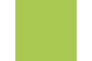 Livery green 17 ml ⎮ 8429551727334 ⎮ VE_452135 