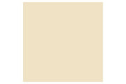 BRUSH MARKER Champagne  Y217 ⎮ 884955042762 ⎮ VE_832167 
