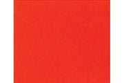 Heavy salmon orange 17ml, extra opaque ⎮ 8429551721523 ⎮ VE_439811 