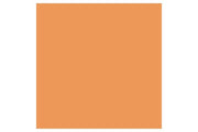 Promarker Ginger  O136 ⎮ 884955041550 ⎮ VE_832046 