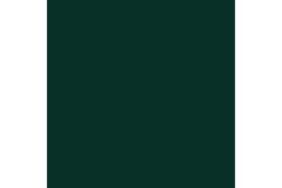 Dark green 17ml ⎮ 8429551720281 ⎮ VE_422960 