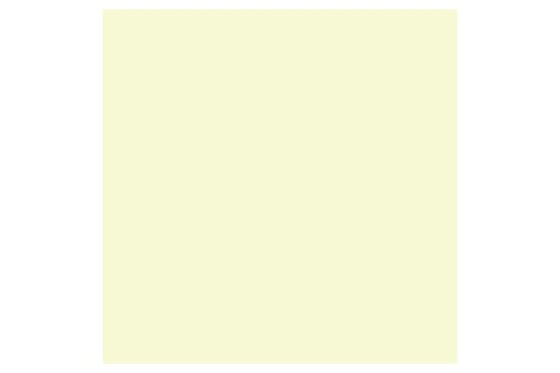 Promarker Primrose  Y919 ⎮ 884955042106 ⎮ VE_832101 